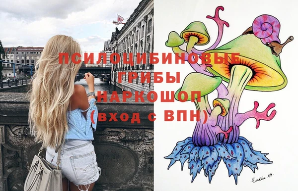 герыч Абаза