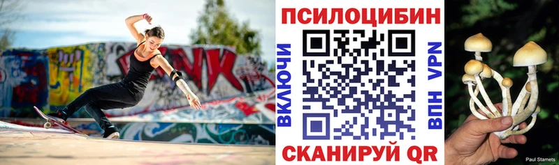 Галлюциногенные грибы мухоморы  кракен ссылки  darknet наркотические препараты  Невельск 